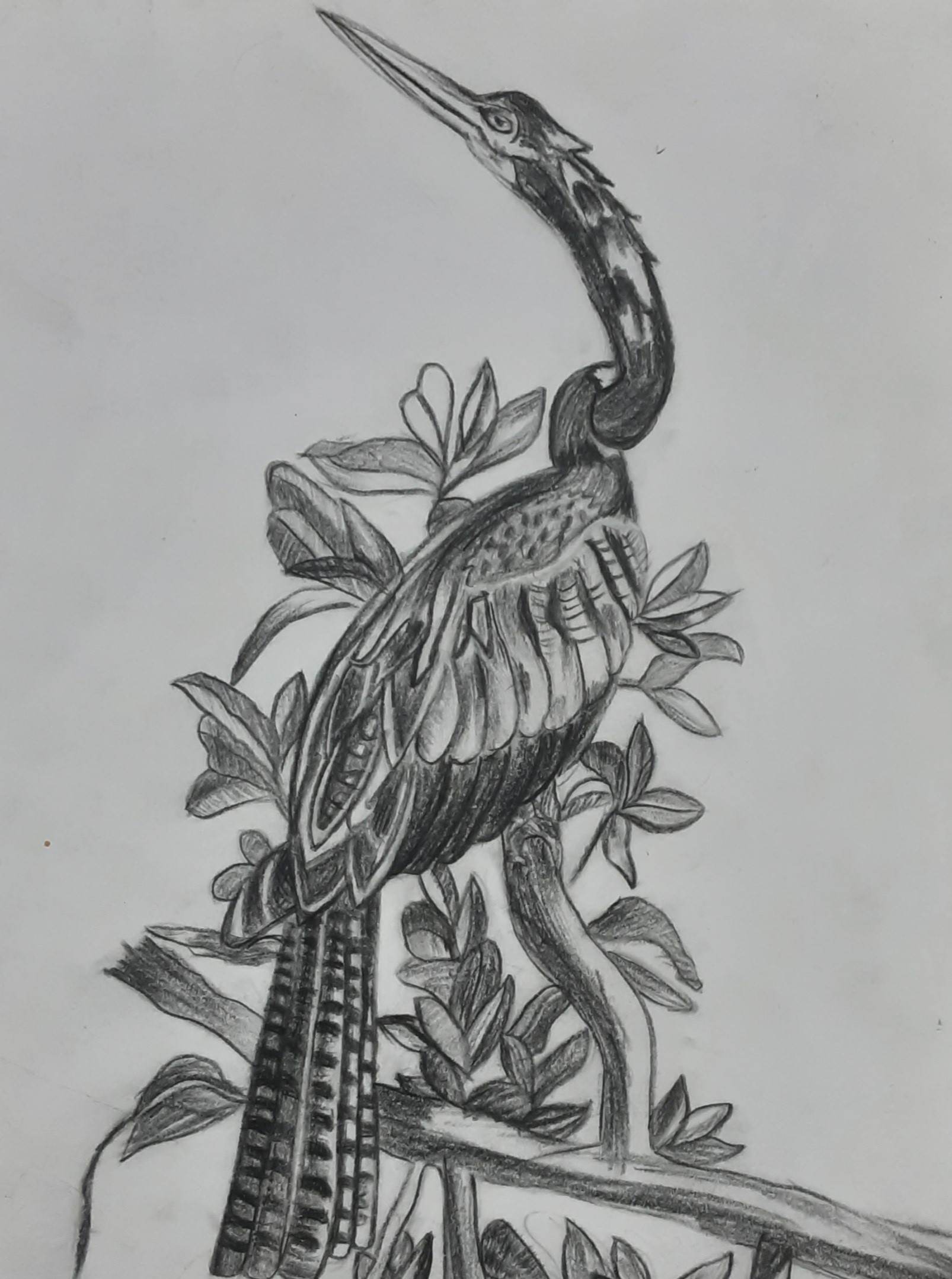 drawing 4